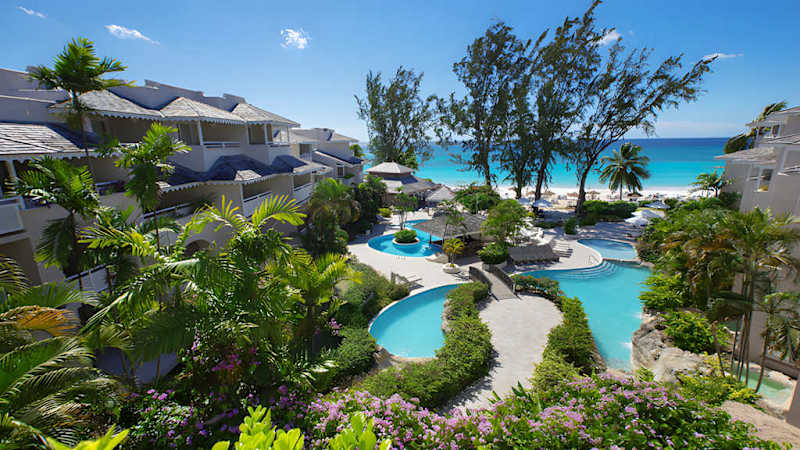 Bougainvillea Barbados - Barbados