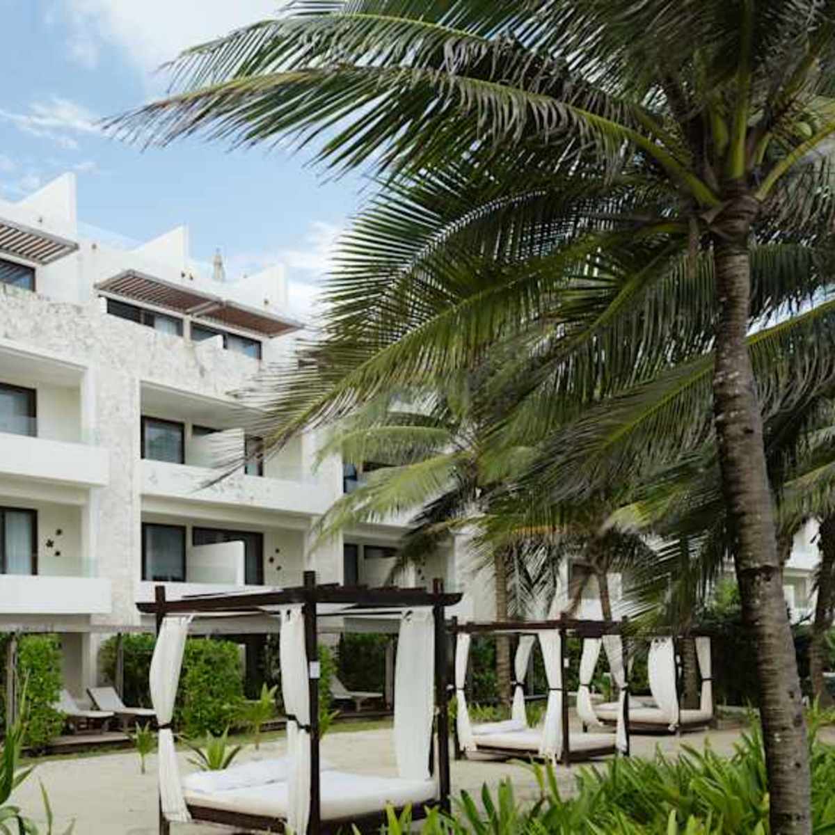 Akumal | Loco Gringo, image size:1200x1200